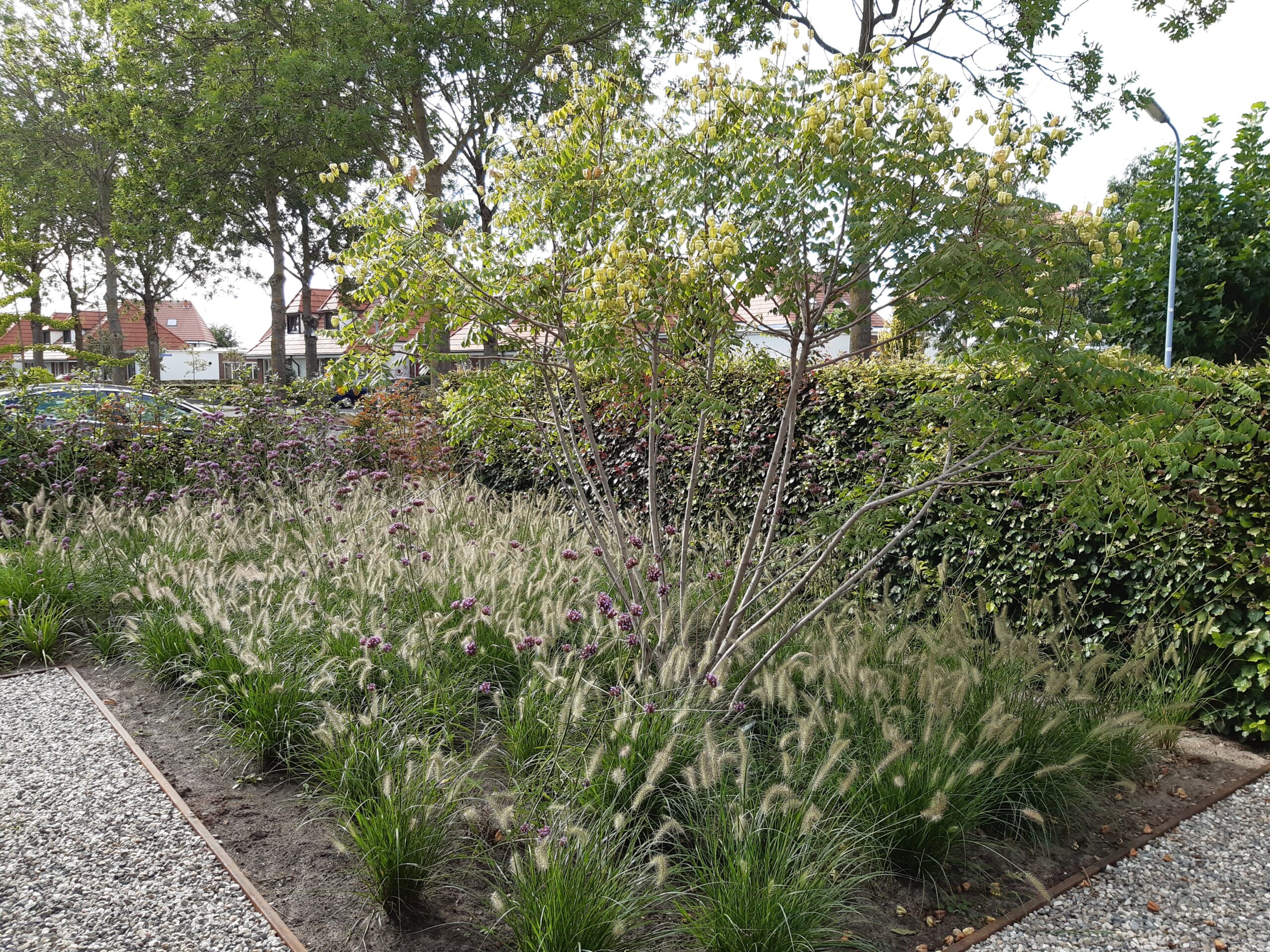 Voortuin